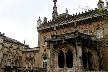 Fototapeta premium Mata Nacional do Buçaco Luso Portugal