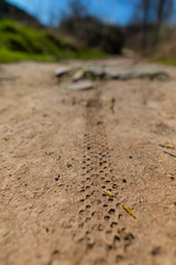 marcas de pneumático de bicicleta en la arena