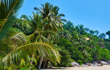 Luxury tropical vacation resort. Beach with white sand and palms. Clear turquoise ocean. Perfect getaway. Travel, vacation concept.