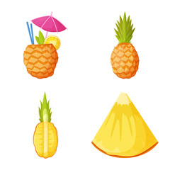 Isolated object of pineapple and fruit symbol. Set of pineapple and food vector icon for stock.