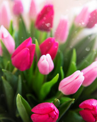 Beautiful tulips bouquet