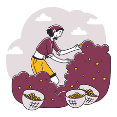 Woman gathering cherries in garden. Gardener, harvest, fruit flat vector illustration. Orchard, organic food, agriculture concept for banner, website design or landing web page