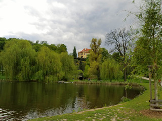 Fototapeta na wymiar lake surrounded by vegetation with a palace in the background