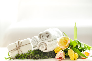 Spring Spa composition on a light background.