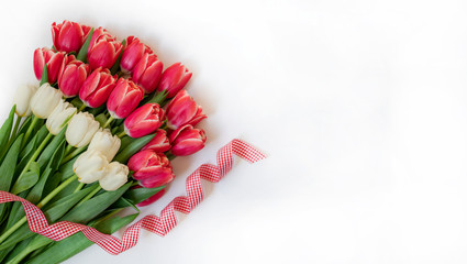 Easter or Valentine's day greeting card. Set of tulip with red ribbon on white background.