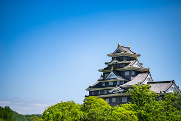 Fototapeta na wymiar 日本の岡山県にある岡山城。真っ黒な姿に烏城とも呼ばれている。