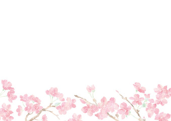 Fototapeta na wymiar 満開の桜の花フレーム01/イラスト素材/背景素材/夜桜