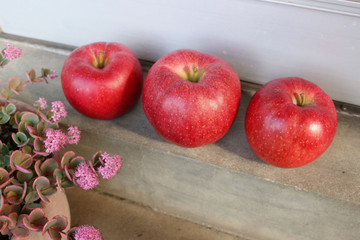 natural fresh red apples fruit