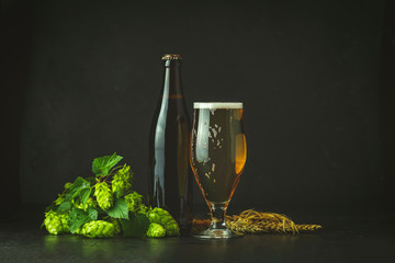 Still life with beer and hop plant in retro style. Glass of cold foamy beer brown bottle of beer...
