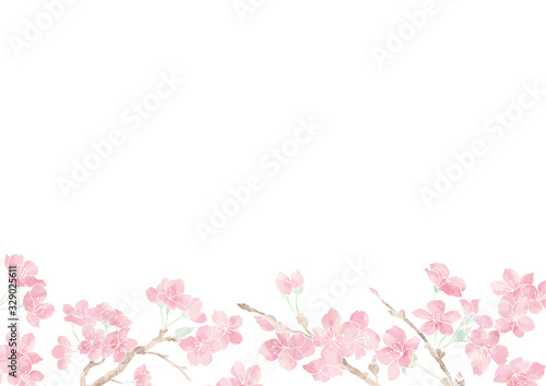 満開の桜の花フレーム01 イラスト素材 背景素材 夜桜 Wall Mural Rocosawada 満開の桜の花フレーム01 イラスト素材 背景素材 夜桜 Wall Mural Rocosawada