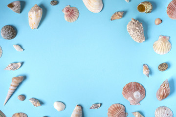 Beautiful seashells of different shapes on the blue background