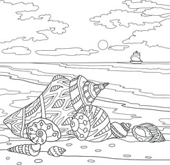 Obraz premium shells sea ship waves ocean coloring book water black and white
