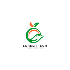 Fototapeta premium leaf logo template