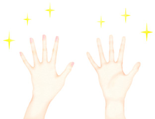 清潔な手の甲と手の平のイラスト