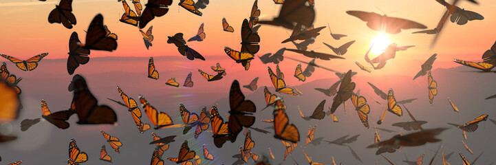 Image of swarm of monarch butterflies, Danaus plexippus group during sunset printed on Printed Glass Basin Splashbacks
