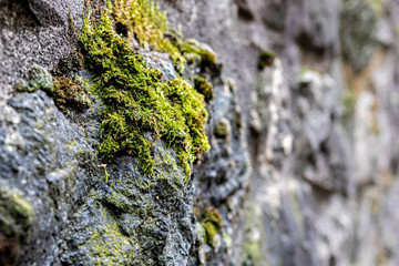 Close-up of an ancient fortress wall fragment, Switzerland
