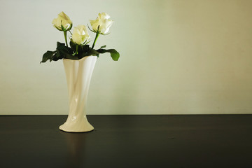 Three white roses in vase on white background