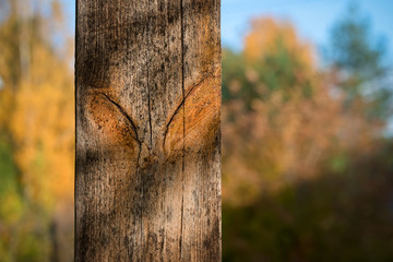 Knots on a board in the shape of an alien eye. They are watching us.