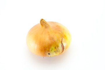 One ordinary onion, slightly damaged, light brown in color with a slight crack on the husk. White isolated background.