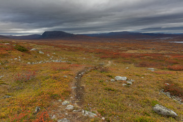 The animal trail that tourists use high in the mountains. Sarek, selective focus