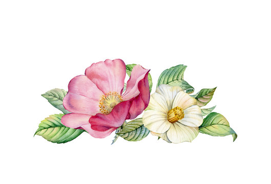 Watercolor floral arrangement. Camellia and rose hip flowers. Realistic bouquet with leaves and briar flowers. Botanical illustration isolated on white