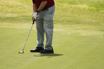 Fototapeta premium Playing golf preparing to shot,man putting on green 