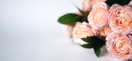 Obraz na płótnie Canvas Beautiful flowers, peonies. Bouquet of pink peony background.