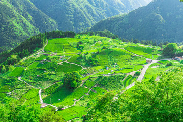 日本のマチュピチュっていったいいくつあるのだろう、、、