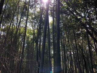 素敵な風景