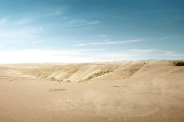 Views of sand dune