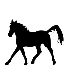 Black silhouette of horse isolated on white background