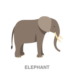 elephant  flat icon on white transparent background. You can be used black ant icon for several purposes.	