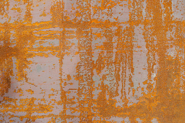 Grunge rusty metal background. For photo collages