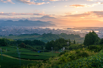 Japanese countryside aerial sunset landscape with tea plantations and mount Fuji