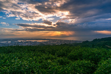 Fototapeta na wymiar Japanese countryside aerial sunset landscape with tea plantations and mount Fuji