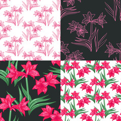 Bright colorful tropical seamless backgrounds with leaves and flowers. Hippeastrum. Amoryllis.
