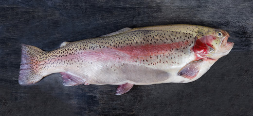 Fresh uncooked rainbow trout on black surface