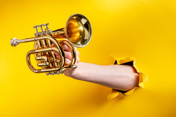 Hand giving a pocket trumpet through torn yellow paper background