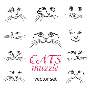 Cats muzzle vector set