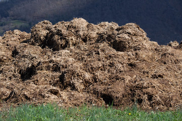natural fertilizer made with cow droppings