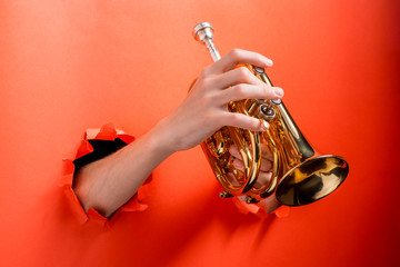 Hands playing pocket trumpet torn red paper background