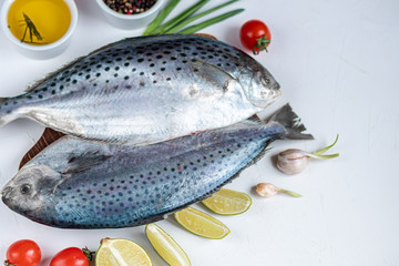 Sea delicious fresh fish on a light background. Frozen product. Fish with aromatic herbs, spices and vegetables - the concept of a healthy diet, diet or cooking.