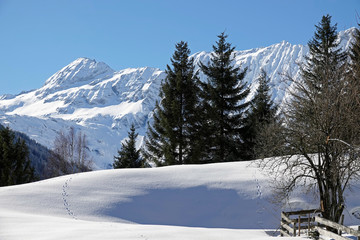 Fototapeta premium deep snow, sunshine and beautiful view to the alps in the hohe tauern national park in austria