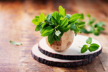 Fresh green mint leaves © nolonely