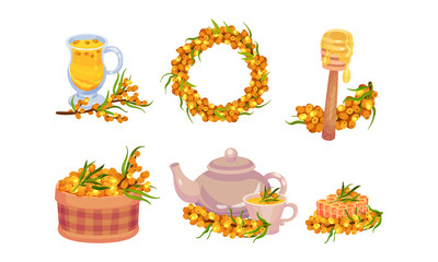 Sea Buckthorn Berries Rested in Basket and Arranged in a Wreath Vector Set