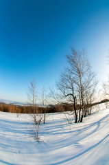 clearing in the winter mountains on a sunny day for outdoor activities and walks