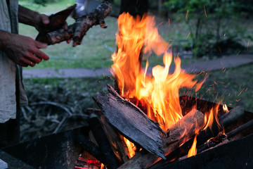 Flaming fire wood in the open fire. Man puts wood into  barbeque grill fire  outdoors.  Male's hand with firewood.