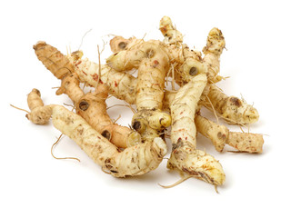 Polygonatum sibiricum on white background