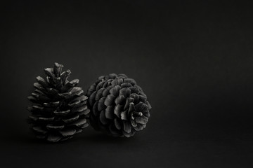 Still life two black cedar cones on a black background horizontal photo