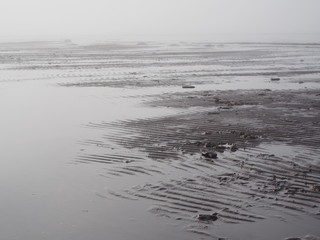 Footprints in the sand of the seashore. Light fog.